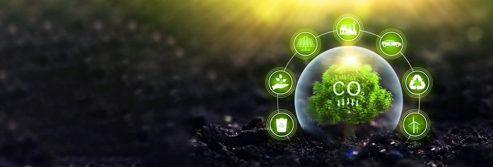 eAsia School of Sustainability