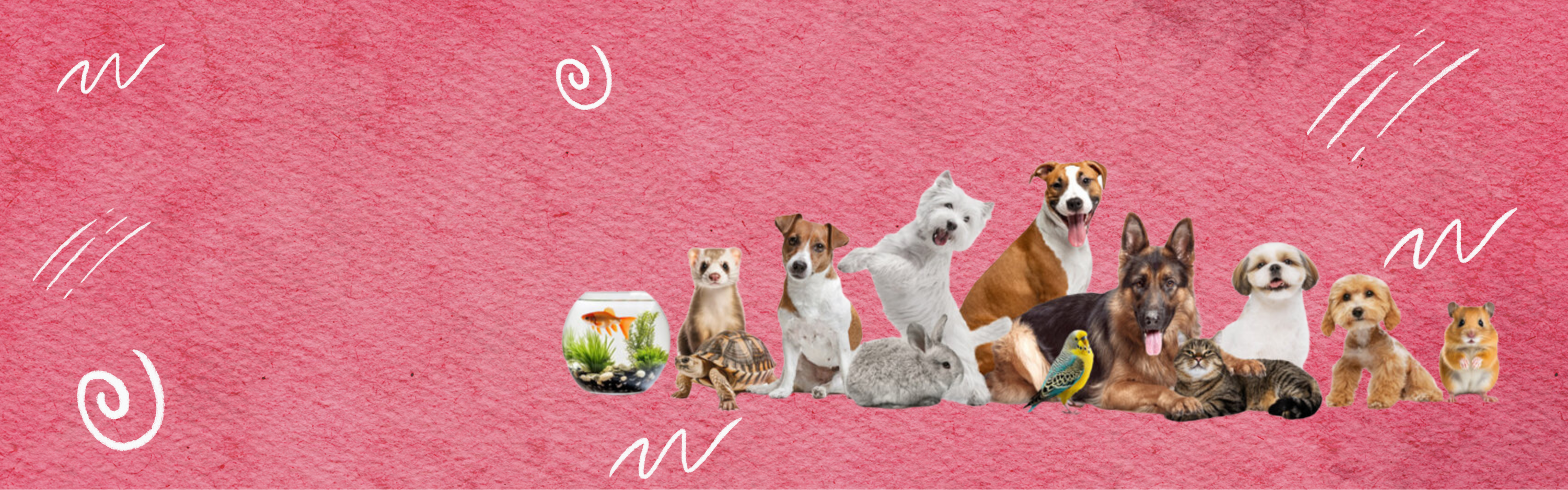 eAsia School of Pet Lovers